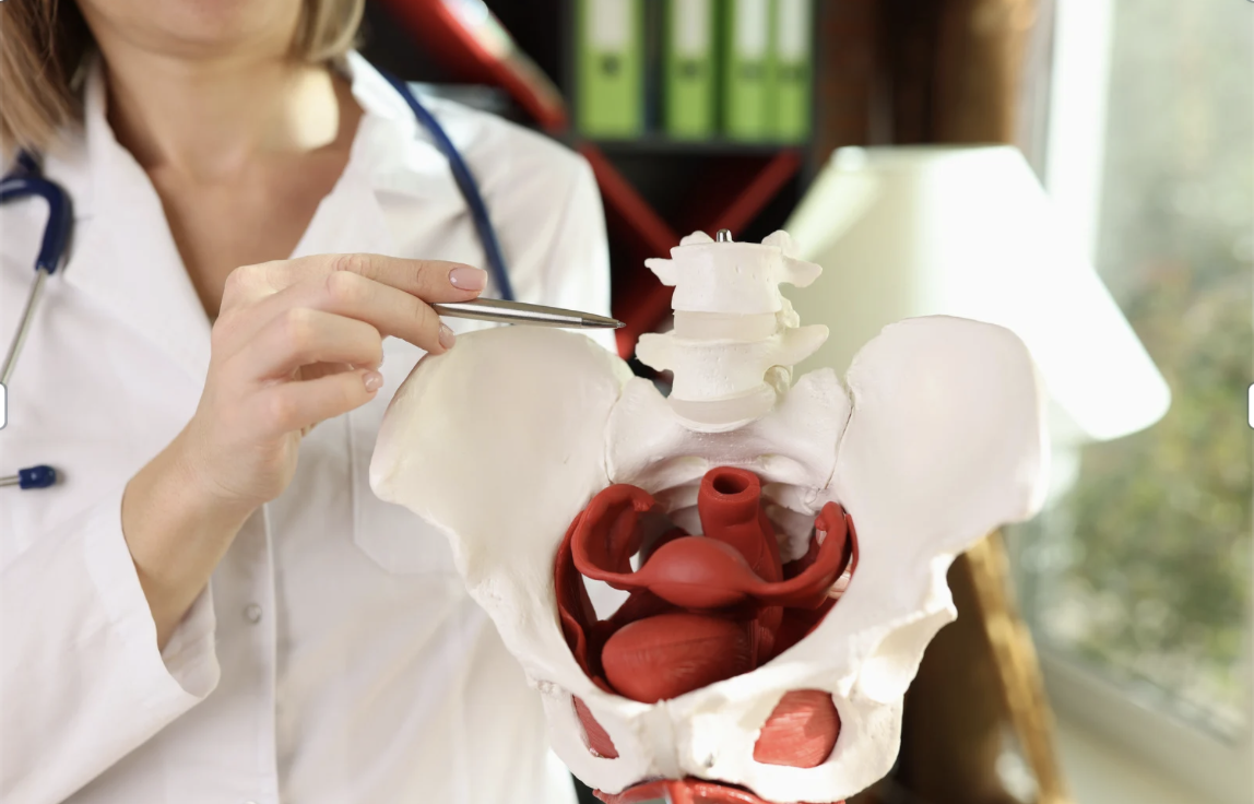 Pediatric Pelvic Floor Physical Therapy: Importance, Treatment, and Progression